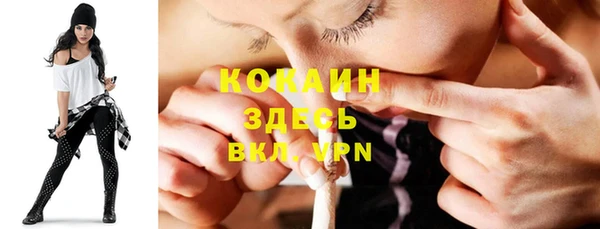 прущая мука Пересвет