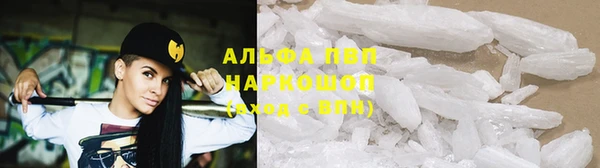 дмт Пестово