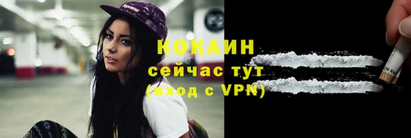 прущая мука Пересвет