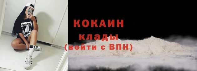 дмт Пестово