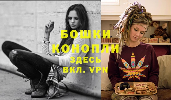 ГАЛЛЮЦИНОГЕННЫЕ ГРИБЫ Билибино