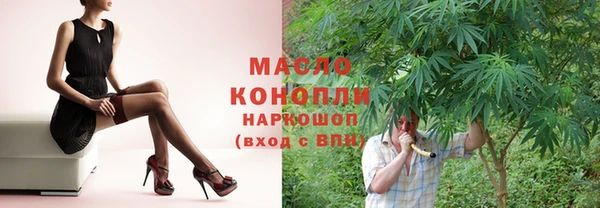 дмт Пестово
