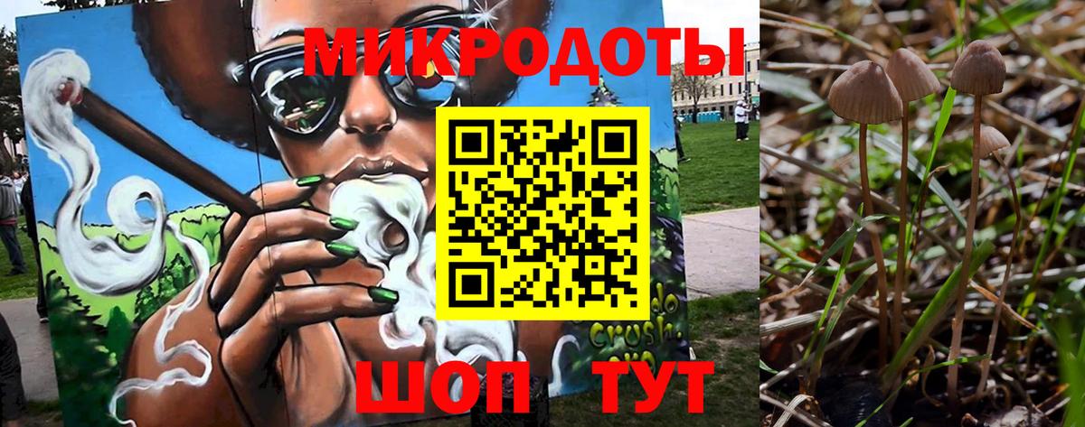Псилоцибиновые грибы Psilocybine cubensis  цена наркотик  Лыткарино  Вход с VPN 