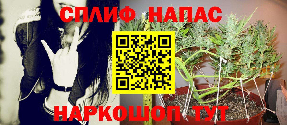 Конопля сатива Лыткарино